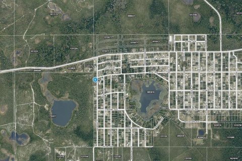 Land in Paisley, Florida № 2160746 - photo 6