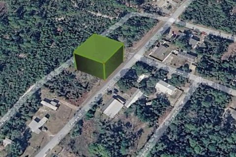 Land in Paisley, Florida № 2160746 - photo 3