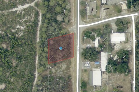 Land in Paisley, Florida № 2160746 - photo 4