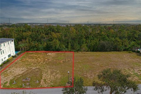 Land in Four Corners, Florida № 1434200 - photo 4