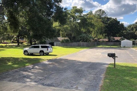 Commercial property in Ocala, Florida 229.28 sq.m. № 2208292 - photo 2