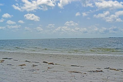 Condominio en alquiler en Clearwater, Florida, 2 dormitorios, 74.32 m2 № 2232368 - foto 13