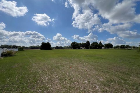 Land in Dover, Florida № 2102860 - photo 4