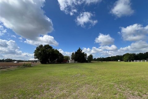 Land in Dover, Florida № 2102860 - photo 3