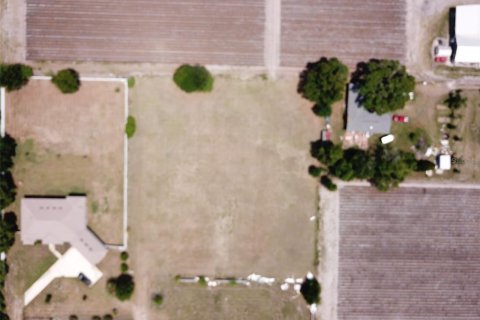 Land in Dover, Florida № 2102860 - photo 9