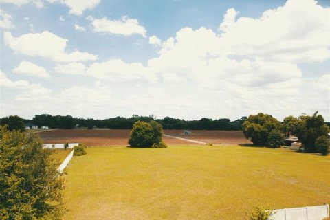 Terrain à Dover, Floride № 2102860