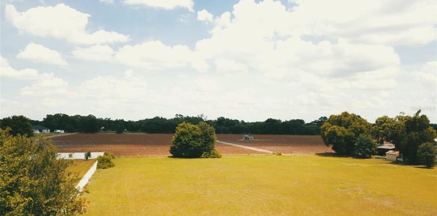 Land in Dover, Florida № 2102860