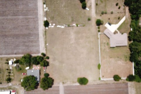 Land in Dover, Florida № 2102860 - photo 10