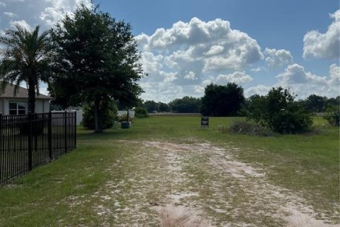 Land in Dover, Florida № 2102860 - photo 6