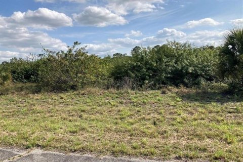 Land in LaBelle, Florida № 2161616 - photo 3