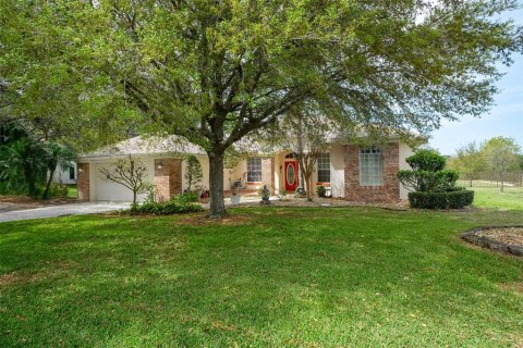 Villa ou maison à vendre à Hudson, Floride: 3 chambres, 237.09 m2 № 2398556 - photo 2