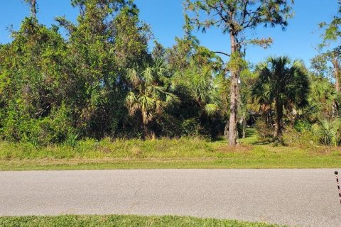 Land in Port Charlotte, Florida № 2162638 - photo 2