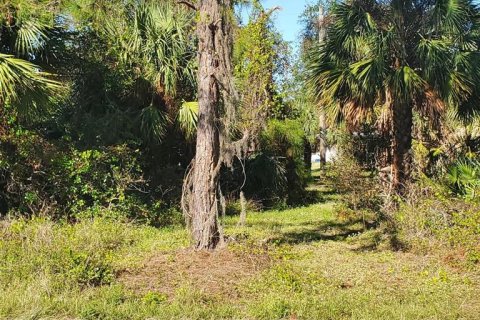 Land in Port Charlotte, Florida № 2162638