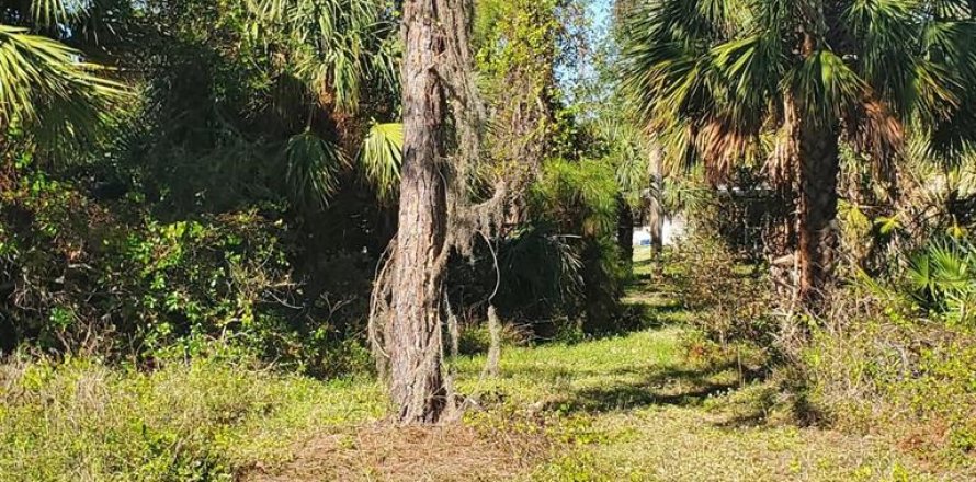 Land in Port Charlotte, Florida № 2162638