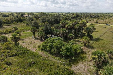 Land in Okeechobee, Florida № 2221234 - photo 16