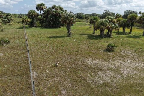 Land in Okeechobee, Florida № 2221234 - photo 17