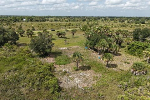 Land in Okeechobee, Florida № 2221234 - photo 14