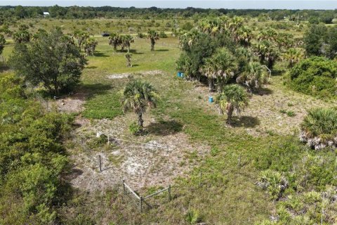 Land in Okeechobee, Florida № 2221234 - photo 21