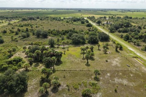 Land in Okeechobee, Florida № 2221234 - photo 10