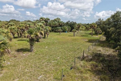 Land in Okeechobee, Florida № 2221234 - photo 20