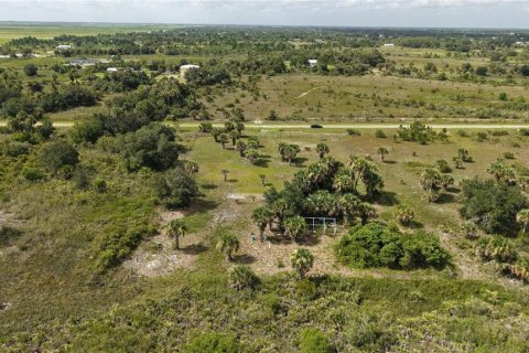 Land in Okeechobee, Florida № 2221234 - photo 9