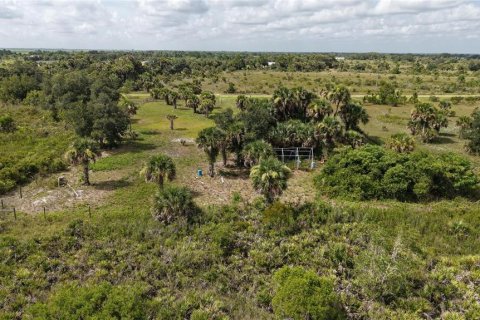 Land in Okeechobee, Florida № 2221234 - photo 15