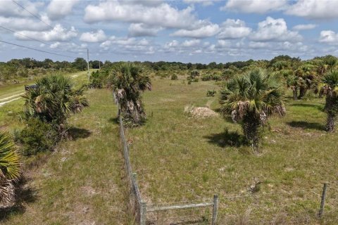 Land in Okeechobee, Florida № 2221234 - photo 19