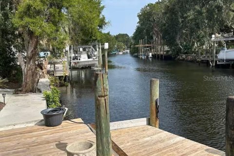 Villa ou maison à louer à Homosassa, Floride: 4 chambres, 242.47 m2 № 1913841 - photo 28