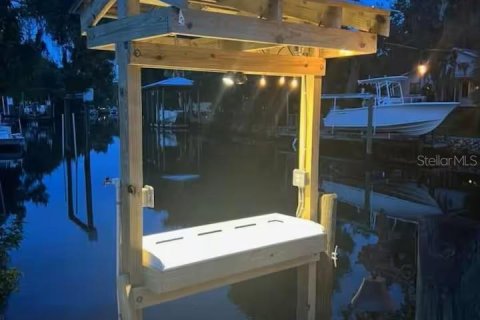 Villa ou maison à louer à Homosassa, Floride: 4 chambres, 242.47 m2 № 1913841 - photo 3
