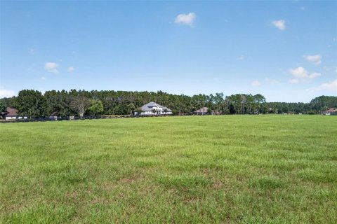 Terreno en venta en Alachua, Florida № 2142233 - foto 16