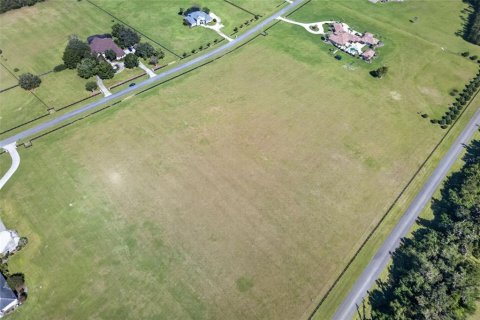 Terreno en venta en Alachua, Florida № 2142233 - foto 7