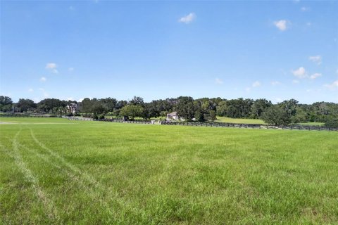 Terreno en venta en Alachua, Florida № 2142233 - foto 15