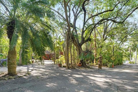 Villa ou maison à vendre à Homestead, Floride: 5 chambres, 327.67 m2 № 2171937 - photo 19