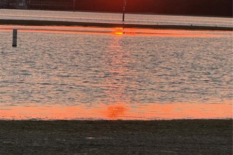 Apartment in Hollywood, Florida 1 bedroom, 2677.81 sq.m. № 2068651 - photo 13