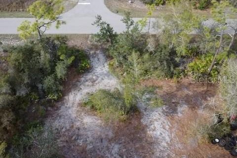 Land in Punta Gorda, Florida № 2232924 - photo 4