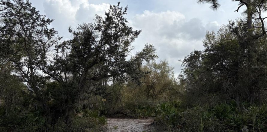 Land in Punta Gorda, Florida № 2232924