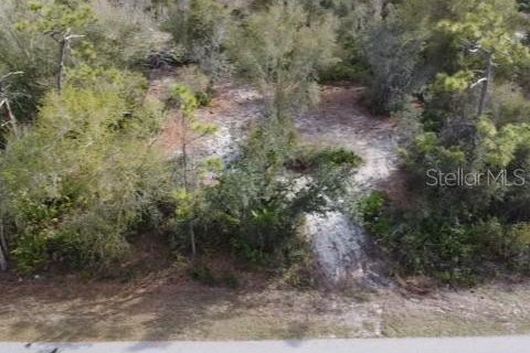 Land in Punta Gorda, Florida № 2232924 - photo 5