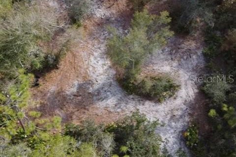 Land in Punta Gorda, Florida № 2232924 - photo 6