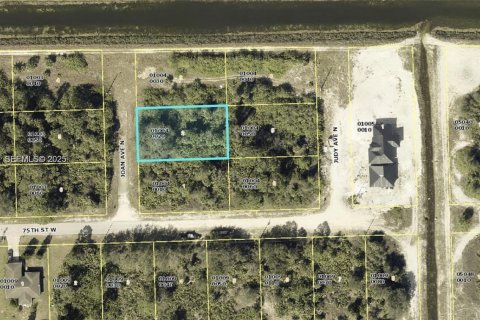 Land in Lehigh Acres, Florida № 2158110 - photo 10