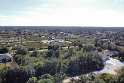 Land in Lehigh Acres, Florida № 2158110 - photo 4