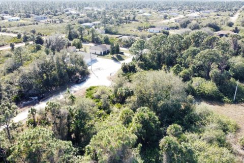 Land in Lehigh Acres, Florida № 2158110 - photo 8