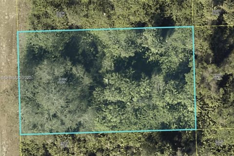 Land in Lehigh Acres, Florida № 2158110 - photo 12