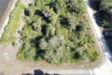 Land in Lehigh Acres, Florida № 2158110 - photo 3
