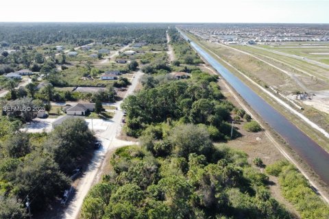 Land in Lehigh Acres, Florida № 2158110 - photo 9