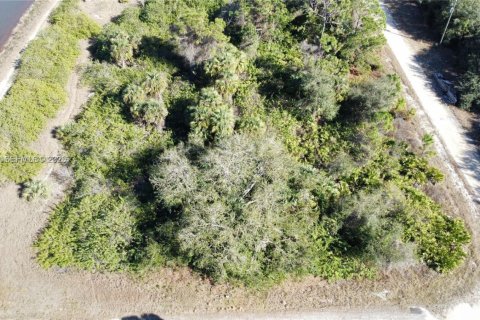 Land in Lehigh Acres, Florida № 2158110 - photo 2