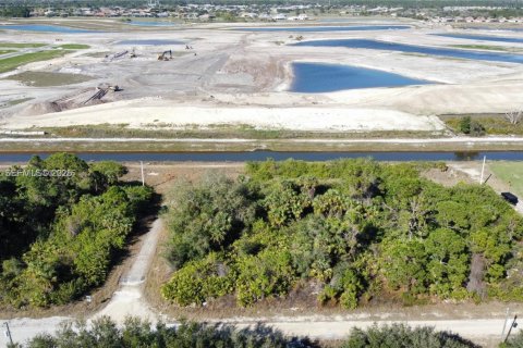 Land in Lehigh Acres, Florida № 2158110 - photo 7