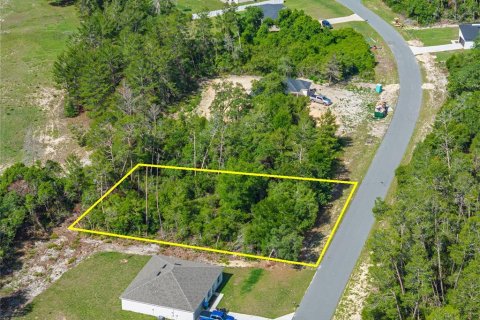 Land in Ocala, Florida № 1751740 - photo 6