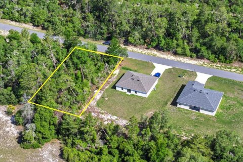 Land in Ocala, Florida № 1751740 - photo 8
