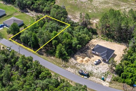 Land in Ocala, Florida № 1751740 - photo 4