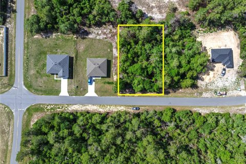 Land in Ocala, Florida № 1751740 - photo 2